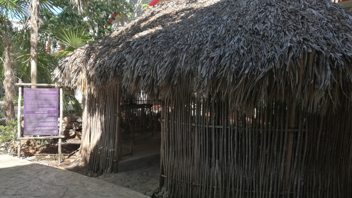 Mayan hut