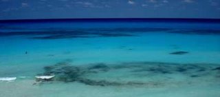 Explore the ocean in the Riviera Maya